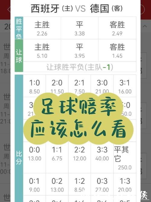 世界杯投注官网：实时赔率与专业分析分享